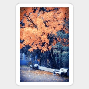 Autumn Park Sticker